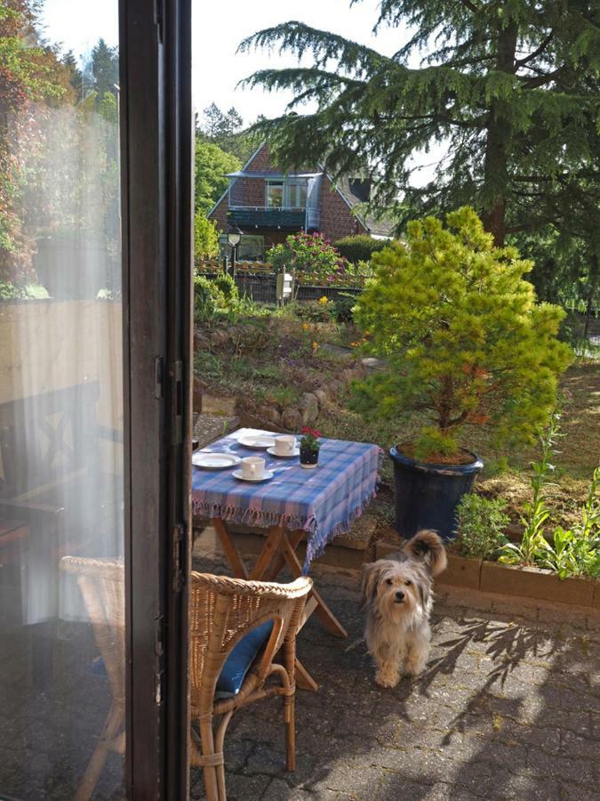 Ferienwohnung Am Waldrand, Hitzacker Exterior foto